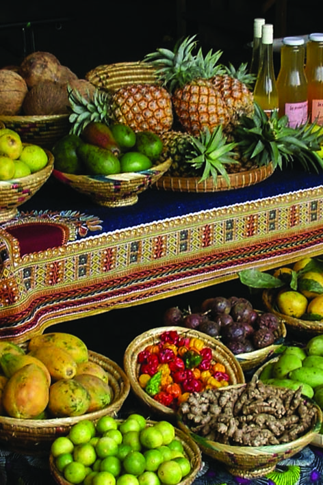 Fondation TerrEspoir