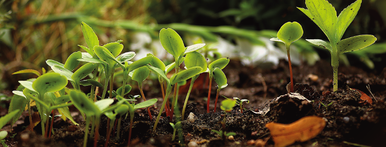 Bio Freiburg - référencement agriculteurs bio