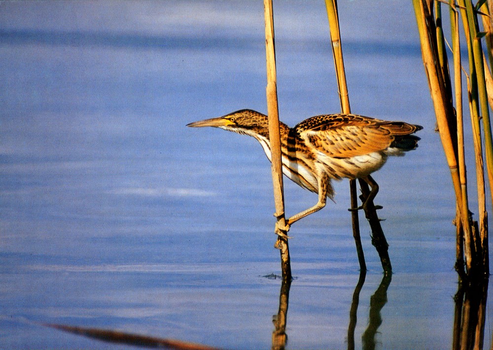 Suite à la modification de l'upload